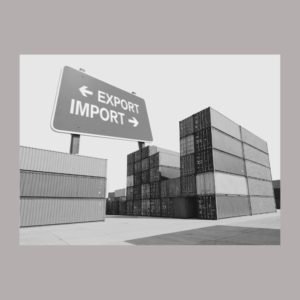 All India Import And Export Companies Data