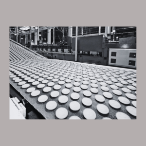 All India Manufacturing Companies (Food Industry) (Mailing List)