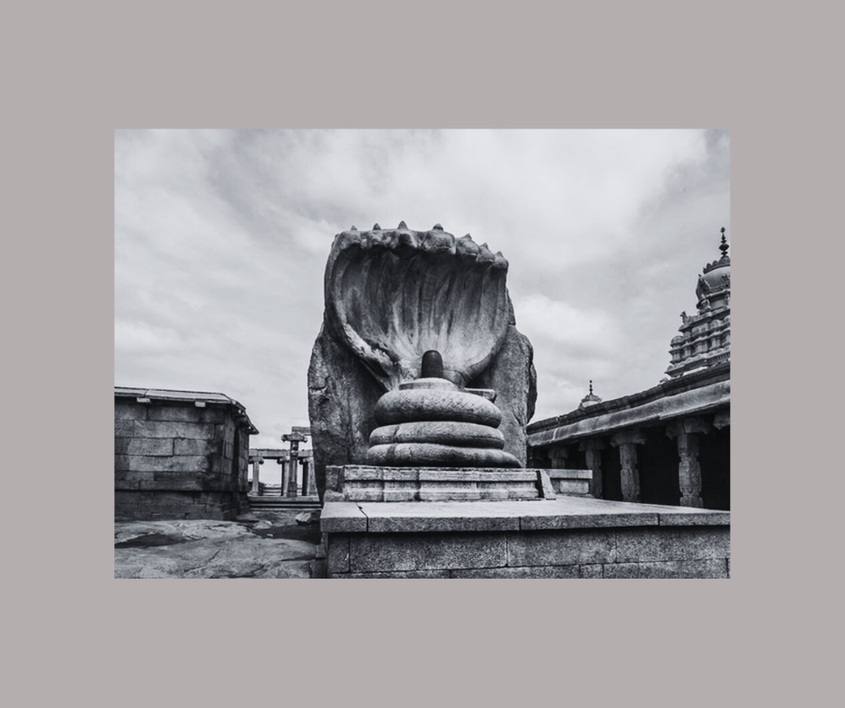 Andhra Pradesh Registered Companies Email List Data