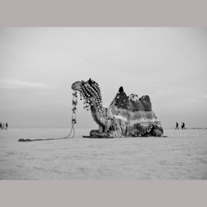 Gujarat MSME Business & Companies