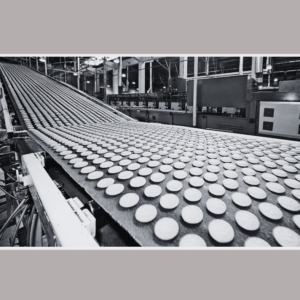 All India Manufacturing Companies (Food Industry) (Mailing List)